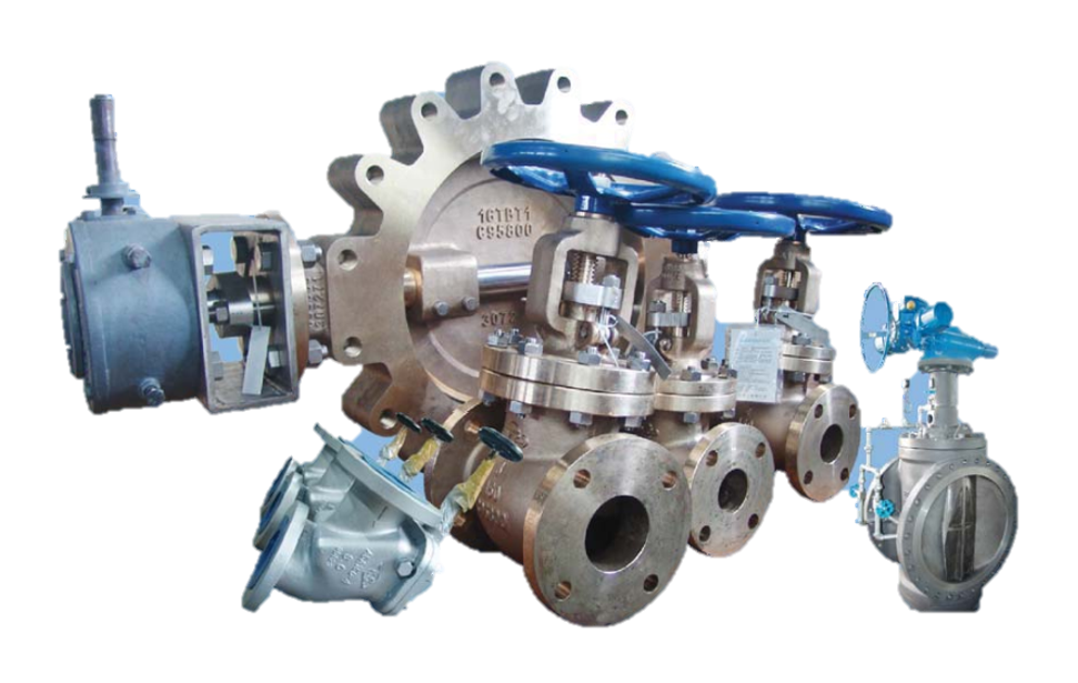 Special Valve